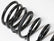 ICON 2008-Up Toyota Land Cruiser, Rear 1.75" Lift Dual Rate Coil Spring Kit for Toyota Land Cruiser - Image 2