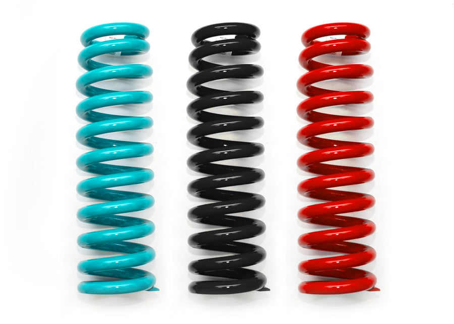 COIL SPRINGS PAIR – C19-376 for Ford F-150