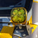 Squadron Single Rock Guard