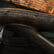 Tacoma Crossmember Delete Front Bumper / 2nd Gen / 2012-2015