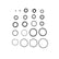 Dirt King Shock Seal Kits
