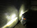 Tri-Color Fog Light Replacement Bulbs