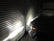 Tri-Color Fog Light Replacement Bulbs