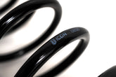 ICON 2021-2025 Ford F-150 Raptor, Rear, 1" Lift, Triple Rate Coil Spring Kit for Ford F-150 - Image 2
