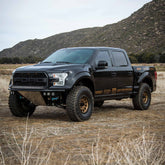 Long Travel Kit for Ford F-150