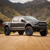 Long Travel Kit for Ford F-150