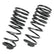 +1" Rear Springs for Toyota Tacoma