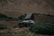 Aspen Pro Standard - Rooftop Tent
